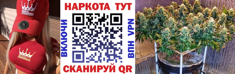 Купить наркотики сайты Шлиссельбург Каннабис  NBOMe  Alpha-PVP  ГАШИШ  МЕФ 
